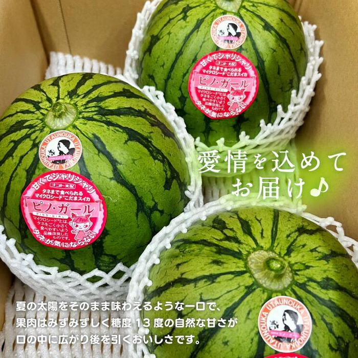 【ふるさと納税】【先行予約】797.小玉スイカ　ピノ・ガール（1玉3kg前後×3玉）◇離島不可（北海道、沖縄本島は配送可能）◇2026年6月上旬頃～7月上旬頃に順次発送予定 サムネイル2