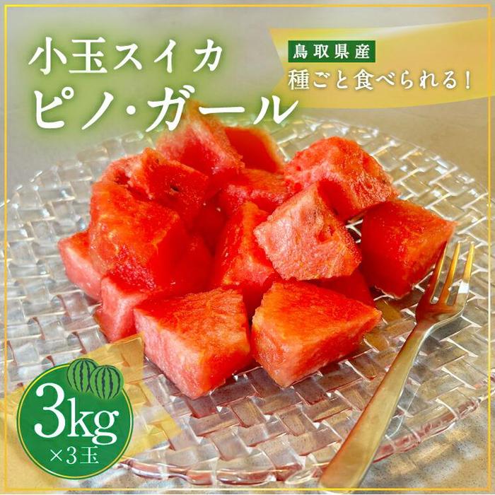【ふるさと納税】【先行予約】797.小玉スイカ　ピノ・ガール（1玉3kg前後×3玉）◇離島不可（北海道、沖縄本島は配送可能）◇2026年6月上旬頃～7月上旬頃に順次発送予定 サムネイル3