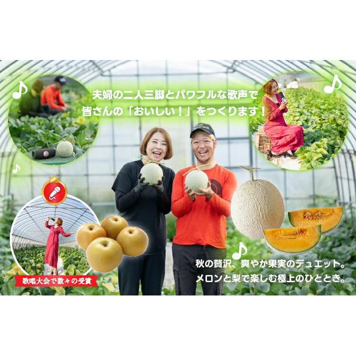 【ふるさと納税】925.【ふるさと納税】【赤肉系メロン】プリモレッド (メロン) と旬の梨セット※離島への配送不可（北海道、沖縄本島は配送可能） サムネイル2