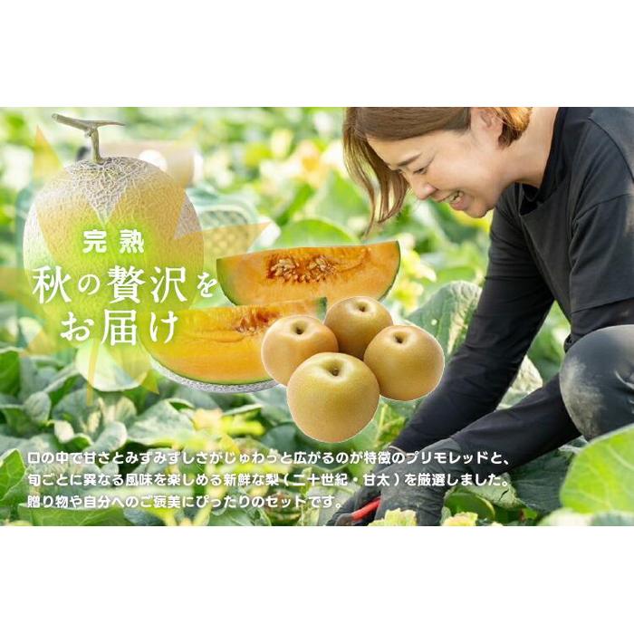 【ふるさと納税】925.【ふるさと納税】【赤肉系メロン】プリモレッド (メロン) と旬の梨セット※離島への配送不可（北海道、沖縄本島は配送可能） サムネイル3