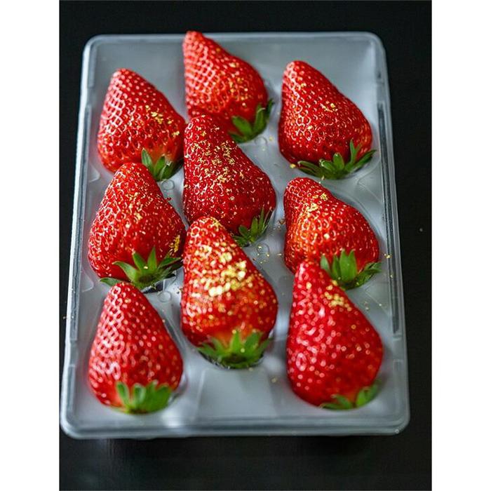 【ふるさと納税】587.プレミアム甘熟いちご　※2026年1月中旬頃～2026年3月下旬頃に順次発送予定 | いちご 苺 フルーツ 果物 新鮮 甘い おすすめ 人気 プレミアム 鳥取県 北栄町 サムネイル2