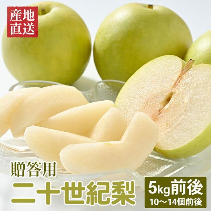 【先行予約】【贈答用】 二十世紀梨 5kg前後 (10個～14個前後) 鳥取県産 ※着日指定不可※2026年8月下旬～9月中旬頃に順次発送予定 | 梨 なし ギフト 5kg 新鮮 2026年 令和8年 二十世紀 鳥取県 北栄町 おすすめ 人気 大容量 国産 送料無料