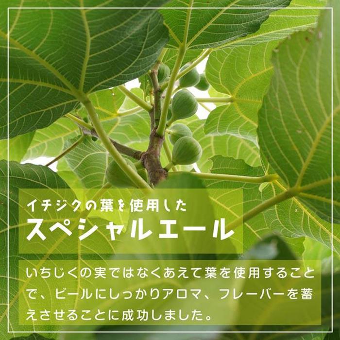 【ふるさと納税】621.クラフトビール3種6本セット ※離島への配送不可 | クラフトビール ビール 酒 お酒 フィグリーブスビール イチジク イチジク葉 パタタドルチェビール さつまいも いも ミルクビール 飲料 ギフト セット 鳥取県 北栄町 おすすめ 人気 サムネイル3
