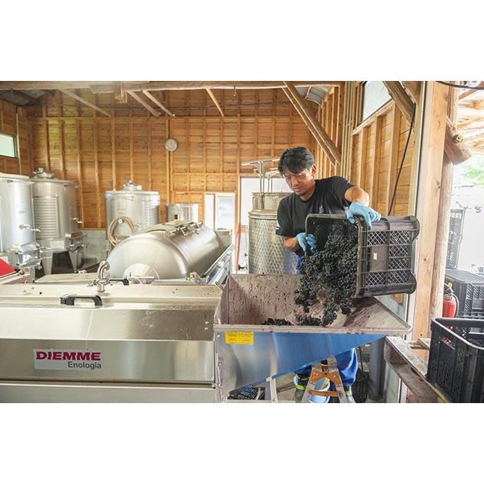 【ふるさと納税】684.辛口赤ワイン『富士の夢2017大山』【化粧箱入り】 ※着日指定不可 ※離島への配送不可 | 赤ワイン 辛口ワイン ワイン 赤 辛口 大山 富士の夢 葡萄 ブドウ 深い味わい さっぱり 野イチゴ 上品な香り 料理酒 酒 鳥取県 北栄町 おすすめ 人気 サムネイル2