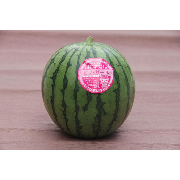 【ふるさと納税】【先行予約】798.種ごと食べられる！小玉スイカ【ピノ・ガール】2玉（1玉2kg前後×2玉）※着日指定不可※離島への配送不可 サムネイル2