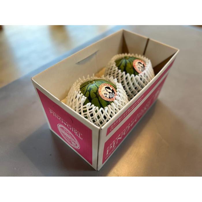 【ふるさと納税】【先行予約】798.種ごと食べられる！小玉スイカ【ピノ・ガール】2玉（1玉2kg前後×2玉）※着日指定不可※離島への配送不可 サムネイル3