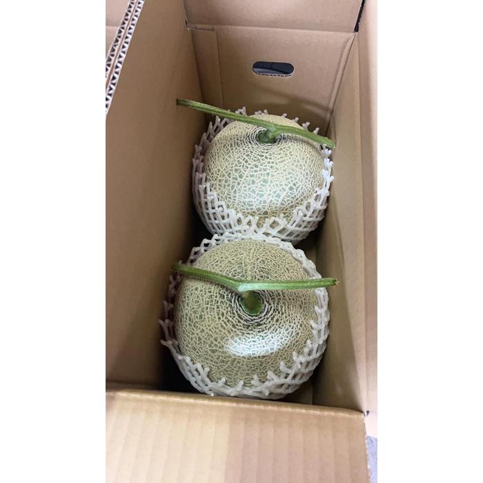 【ふるさと納税】808.【赤肉系メロン】プリモレッド×2玉（1玉2kg前後×2玉）※離島への配送不可 | 先行予約 メロン 果物 くだもの フルーツ プリモレッド メロン 旬 お取り寄せ 甘い 鳥取県 鳥取 北栄町 おすすめ 人気 送料無料 サムネイル2