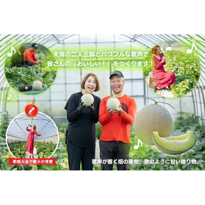 【ふるさと納税】【先行予約】920.【青肉系メロン】ディーバ×2玉（1玉2kg前後×2玉）※離島への配送不可（北海道、沖縄本島は配送可能） | 先行予約 メロン 果物 メロンディーパ くだもの フルーツ メロン 旬 お取り寄せ 甘い 鳥取県 鳥取 北栄町 おすすめ 人気 送料無料 サムネイル2