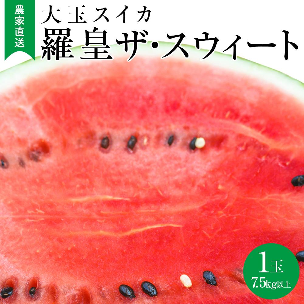 【2026年産先行予約】大玉スイカ『羅皇ザ・スウィート』（こちらの西瓜は大栄西瓜ではありません） ◇2026年7月上旬～7月中旬頃に順次発送 | 先行予約 西瓜 すいか スイカ フルーツ 果物 鳥取県 北栄町 おすすめ 人気 新鮮