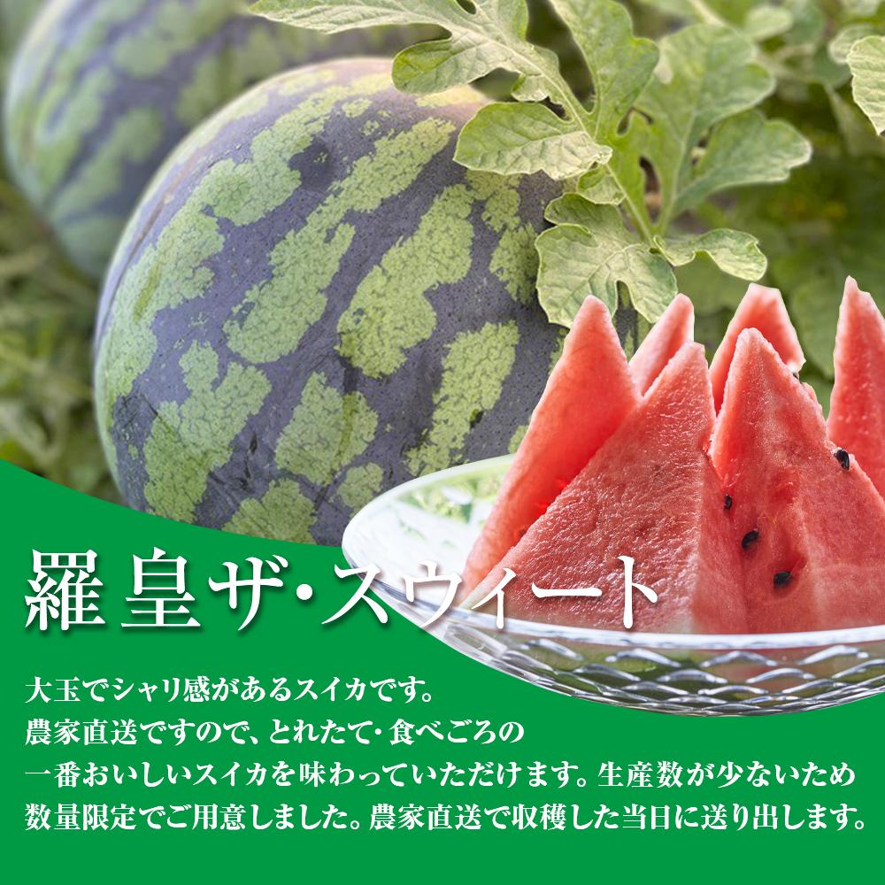 【ふるさと納税】【2026年産先行予約】大玉スイカ『羅皇ザ・スウィート』（こちらの西瓜は大栄西瓜ではありません） ◇2026年7月上旬～7月中旬頃に順次発送 | 先行予約 西瓜 すいか スイカ フルーツ 果物 鳥取県 北栄町 おすすめ 人気 新鮮 サムネイル2