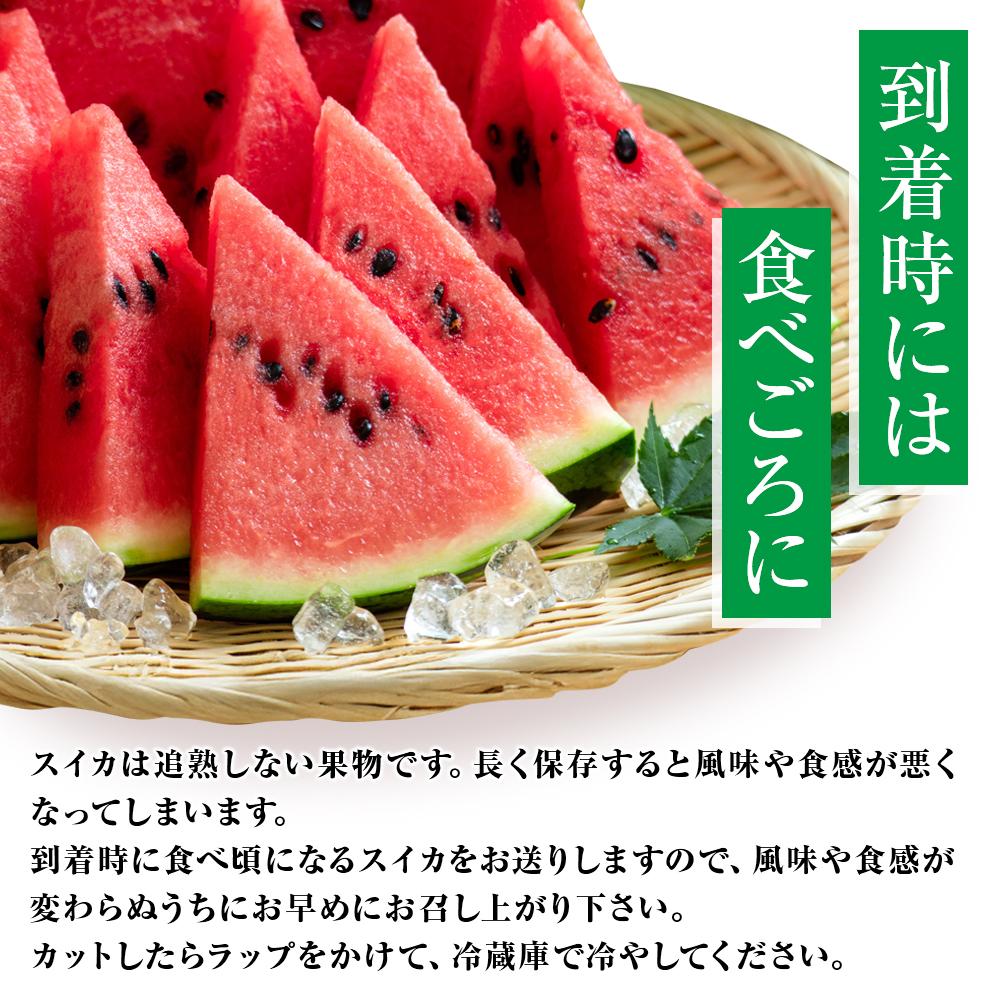 【ふるさと納税】【2026年産先行予約】大玉スイカ『羅皇ザ・スウィート』（こちらの西瓜は大栄西瓜ではありません） ◇2026年7月上旬～7月中旬頃に順次発送 | 先行予約 西瓜 すいか スイカ フルーツ 果物 鳥取県 北栄町 おすすめ 人気 新鮮 サムネイル3