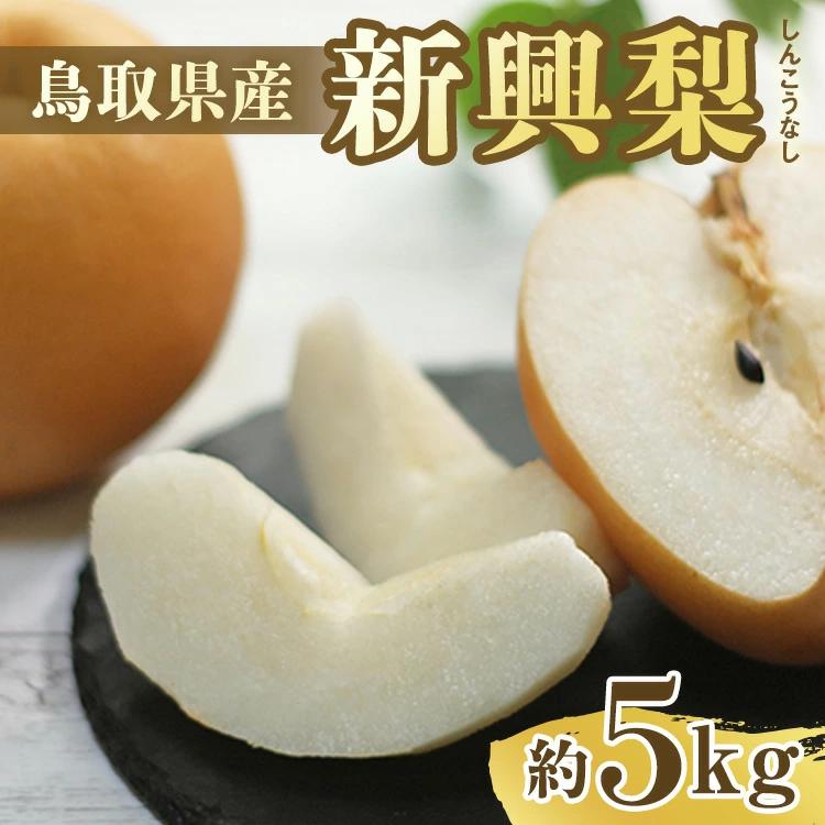 【先行予約】新興梨 5～18玉前後 5kg前後 ※10月～11月下旬頃に順次発送予定 | 梨 なし 果物 フルーツ くだもの 鳥取県 鳥取 北栄町 おすすめ 人気