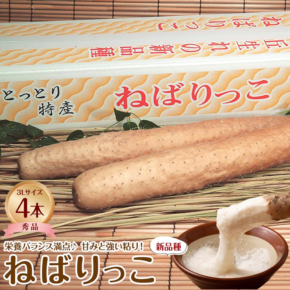 742.【JA】ねばりっこ　秀3L×4本　※着日指定不可　※離島への配送不可　※順次発送予定 | ねばりっこ 長芋 長いも 野菜 やさい とろろ いも 芋 栄養 栄養満点 ビタミン ミネラル