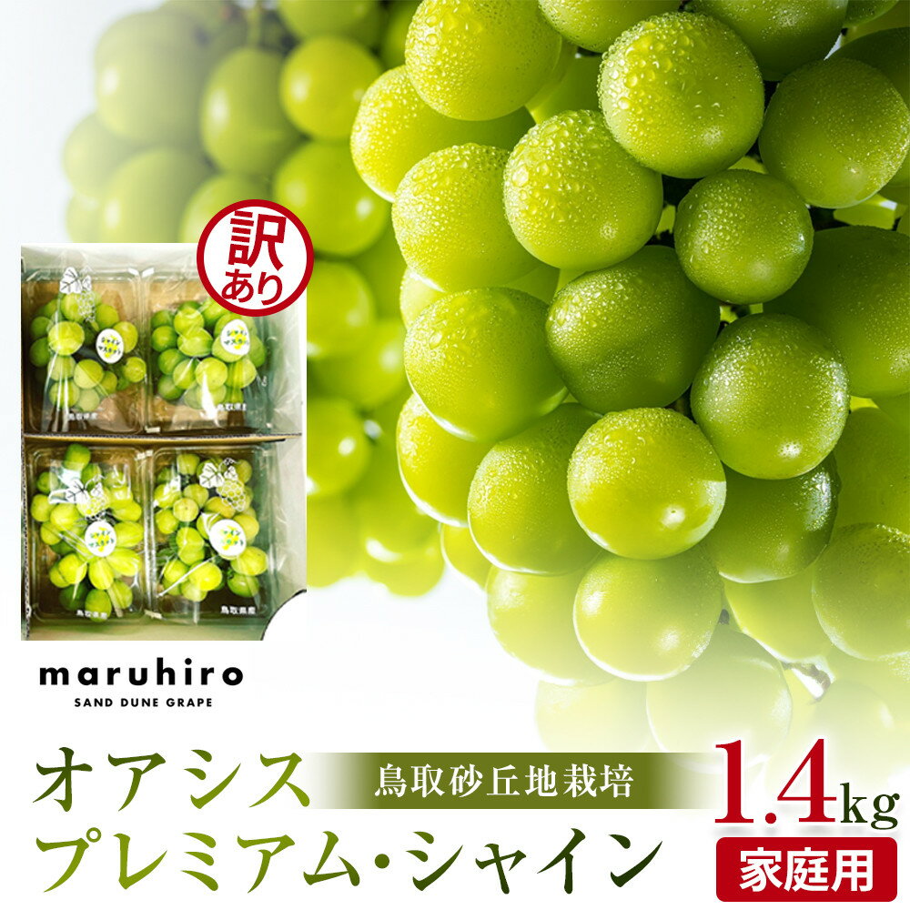 915.【先行予約】シャインマスカットシャインマスカット 訳あり 家庭用 鳥取砂丘地産 1.4kg（350g×4パック） ※離島への配送不可 ※2026年8月下旬～10月下旬頃に順次発送予定 | オアシスプレミアムシャイン マスカット 葡萄 ブドウ フルーツ 果物