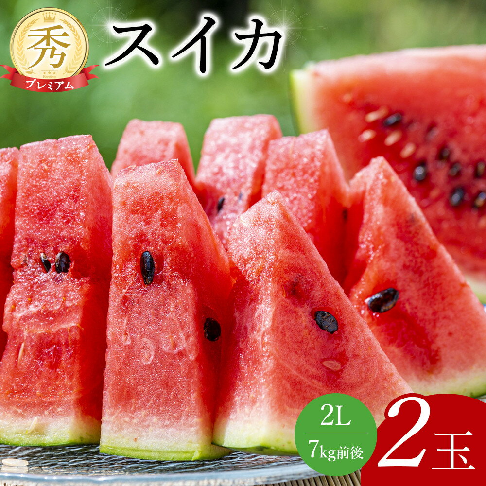 240.【先行予約】プレミアムスイカ 2L×2玉 ※5月下旬～8月上旬頃に順次発送予定 ※着日指定不可（こちらの返礼品は、大栄西瓜ではありません） | 西瓜 スイカ 果物 フルーツ くだもの 鳥取県 北栄町 おすすめ 人気 送料無料