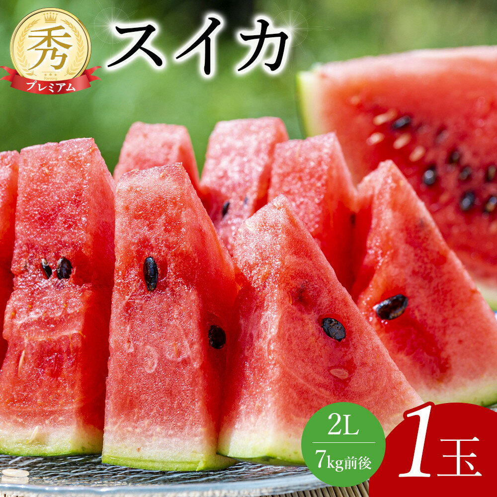 241.【先行予約】プレミアムスイカ 1玉 ※5月下旬～8月中旬頃に順次発送予定（こちらの返礼品は、大栄西瓜ではありません） | 西瓜 スイカ 果物 フルーツ くだもの 鳥取県 北栄町 おすすめ 人気 送料無料