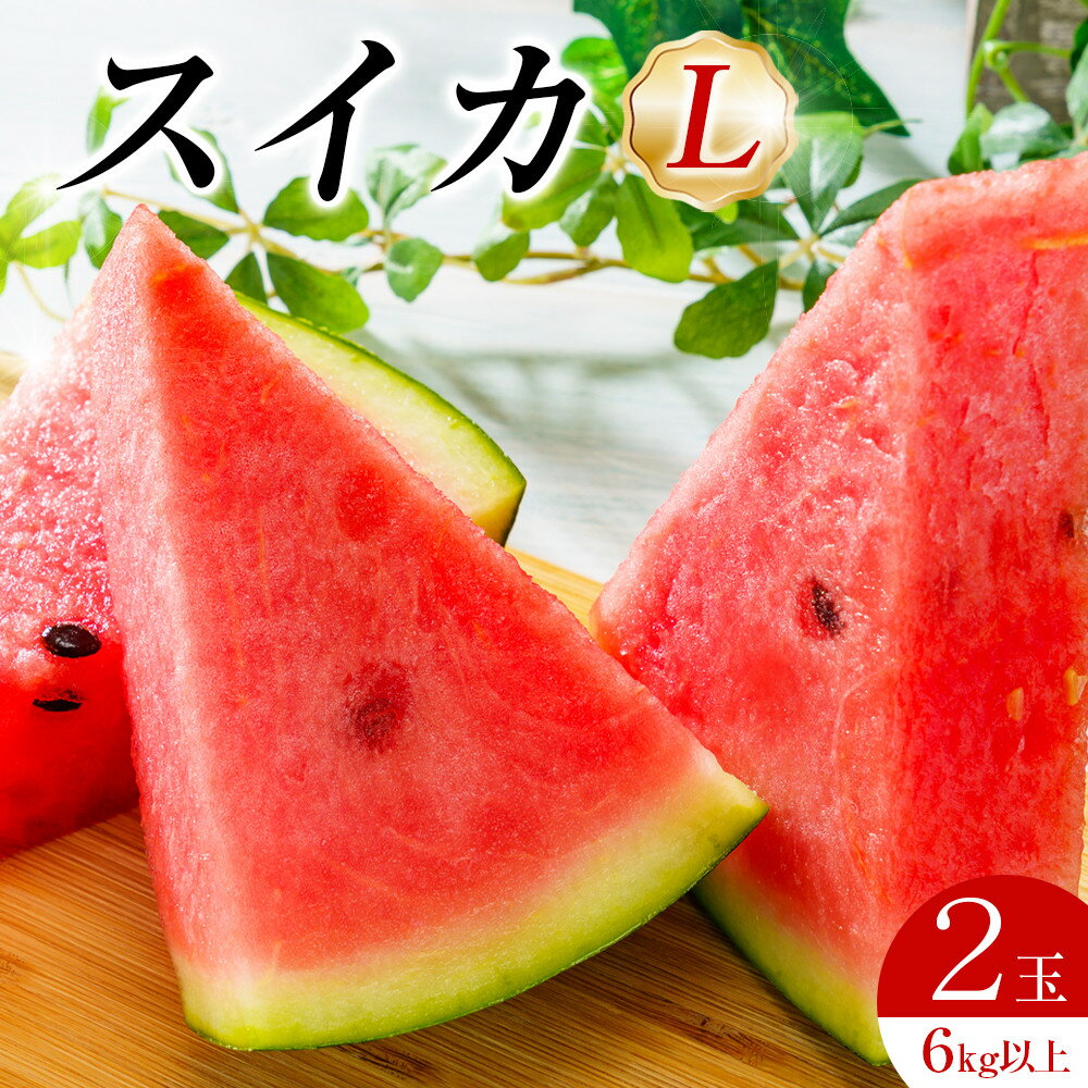 242.【先行予約】スイカL 2玉 6kg以上2玉 ※6月上旬～8月中旬頃に順次発送予定（こちらの返礼品は、大栄西瓜ではありません） | 西瓜 スイカ 果物 フルーツ くだもの 鳥取県 北栄町 おすすめ 人気 送料無料