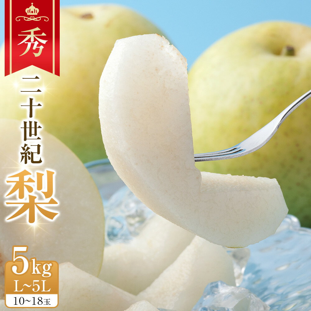 279.【先行予約】二十世紀梨 秀5kg L～5L 10～18玉前後 ※2026年8月下旬～9月下旬頃に順次発送予定 | 先行予約 梨 なし 果物 フルーツ くだもの 鳥取県 北栄町 おすすめ 人気 送料無料