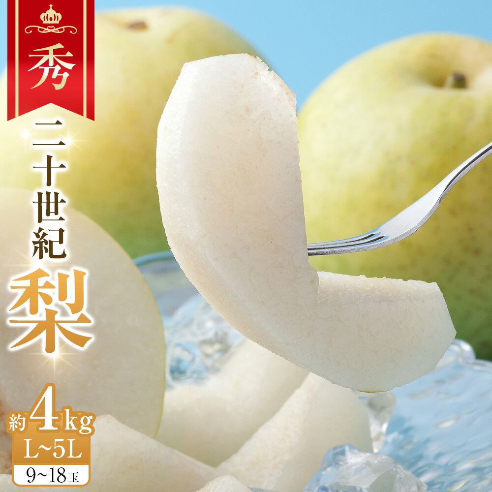 280.【先行予約】二十世紀梨 秀 約4kg L～5L 9～18玉前後 ※2026年8月下旬～9月下旬頃に順次発送予定 | 先行予約 梨 なし 果物 フルーツ くだもの 鳥取県 北栄町 おすすめ 人気 送料無料