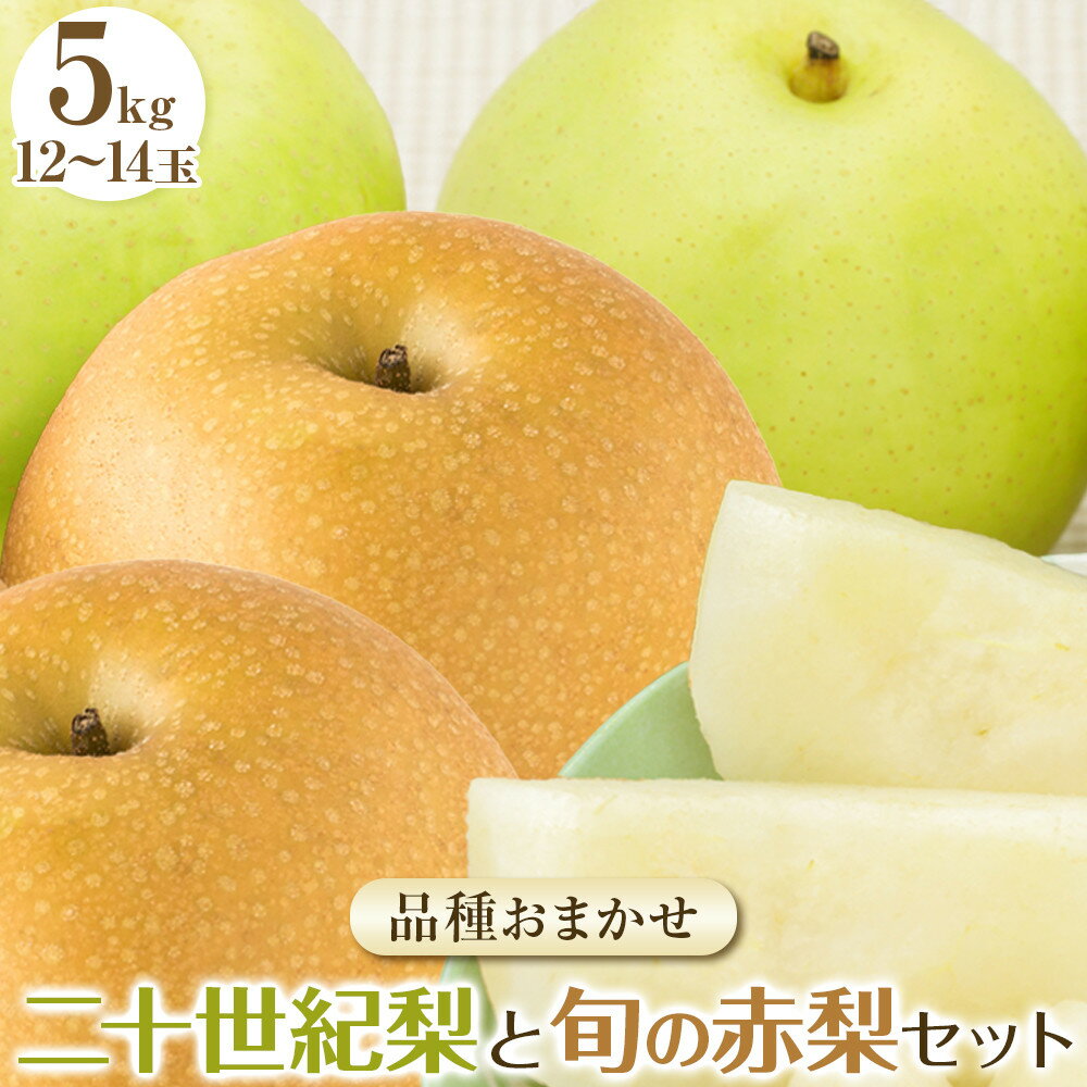 282.【先行予約】二十世紀梨と旬の赤梨セット 5kg ※2026年8月下旬～9月下旬頃に順次発送予定 | 先行予約 梨 なし 果物 フルーツ くだもの 鳥取県 北栄町 おすすめ 人気 送料無料