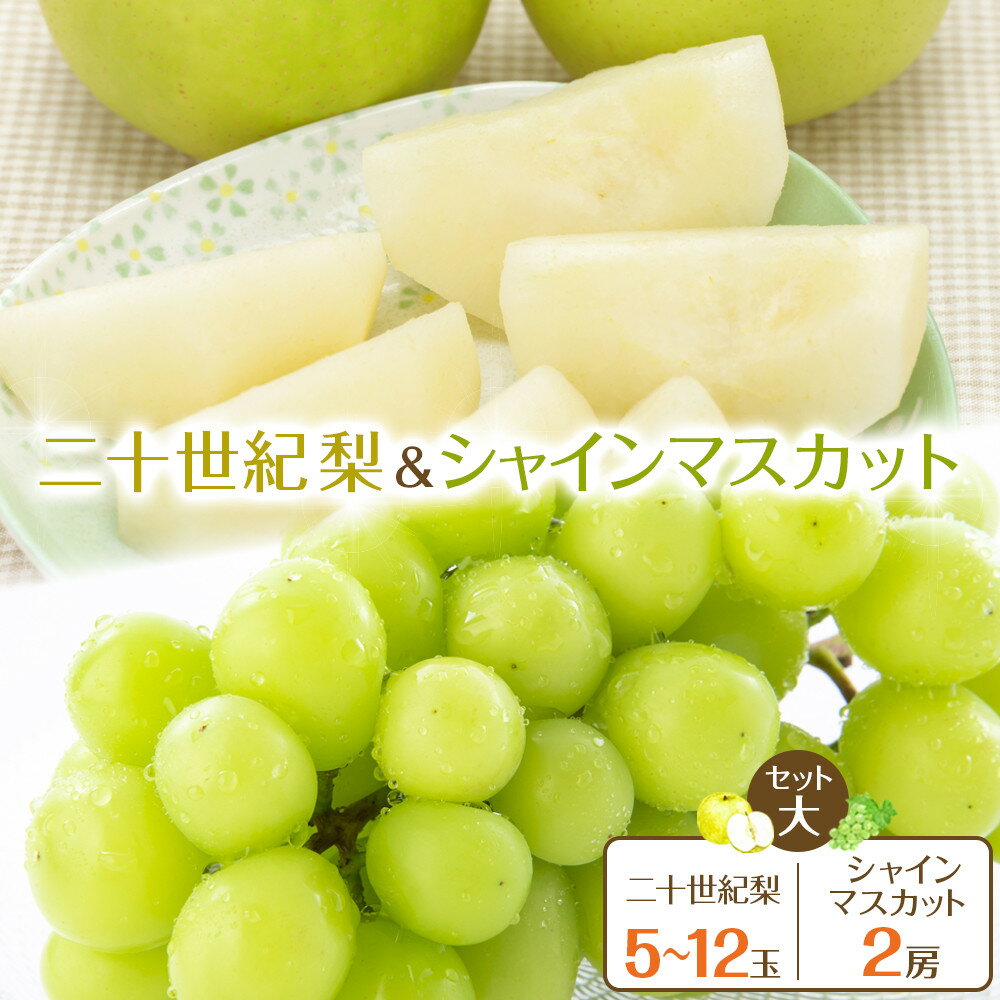 【先行予約】二十世紀梨とシャインマスカットのセット 大 ※8月下旬～9月下旬頃に順次発送予定 | 梨 なし 果物 フルーツ くだもの 鳥取県 北栄町 おすすめ 人気