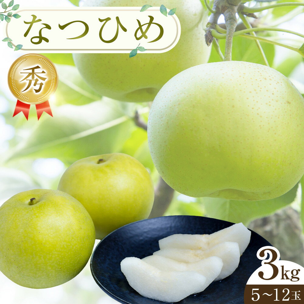 300.【先行予約】なつひめ ※2026年8月中旬～9月上旬頃に順次発送予定 | 先行予約 梨 なし 果物 フルーツ くだもの 鳥取県 北栄町 おすすめ 人気 送料無料