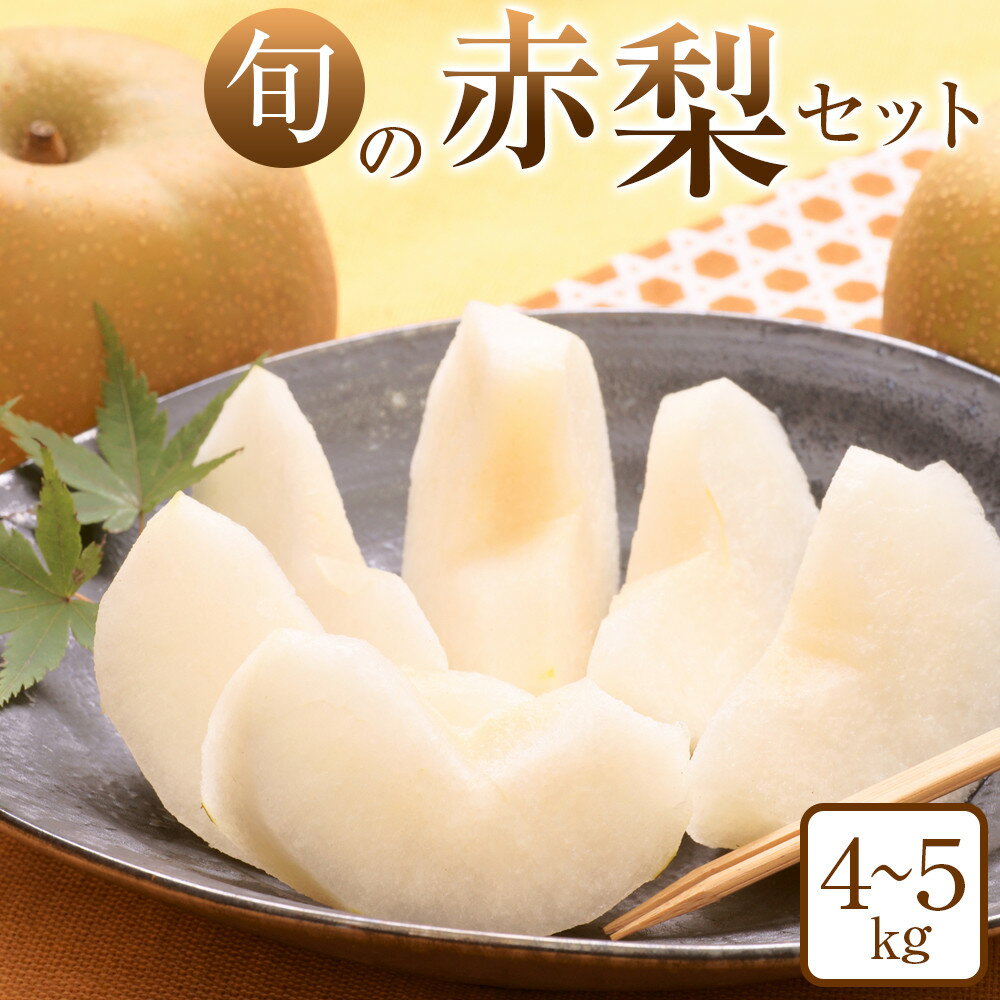 旬の赤梨セット 4～5kg前後 ※2026年8月下旬～12月下旬頃に順次発送予定 | 先行予約 梨 なし 幸水 秋栄 豊水 新甘泉 しんかんせん 秋甘泉 新高 王秋 あたご梨 果物 フルーツ くだもの 栄養 効能 ビタミン 鳥取県 鳥取 北栄町 おすすめ 人気 送料無料