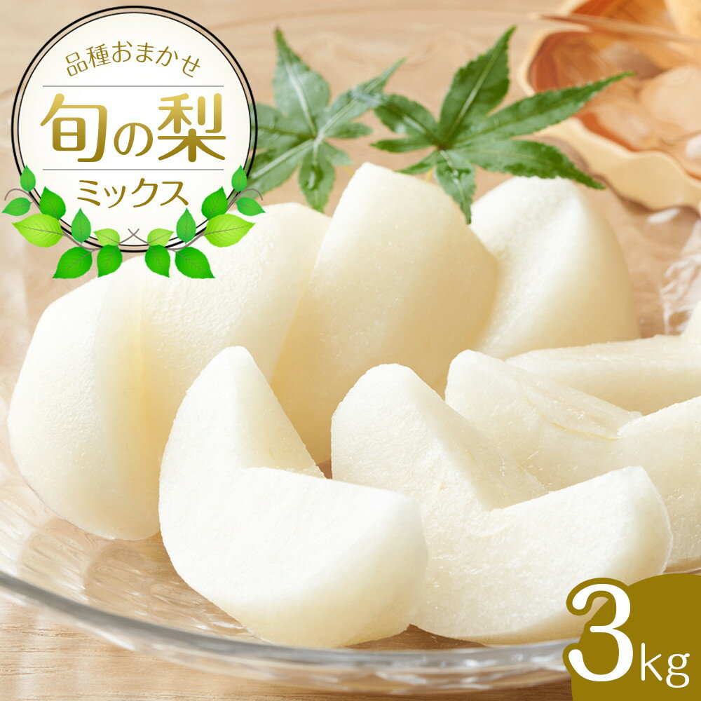 【品種おまかせ】旬の梨ミックスセット 3kg ※～2026年12月下旬頃に順次発送予定 | 先行予約 梨 なし 二十世紀 幸水 秋栄 豊水 新甘泉 しんかんせん 秋甘泉 新高 甘太 王秋 あたご梨 果物 フルーツ くだもの ビタミン 鳥取県 鳥取 北栄町 おすすめ 人気