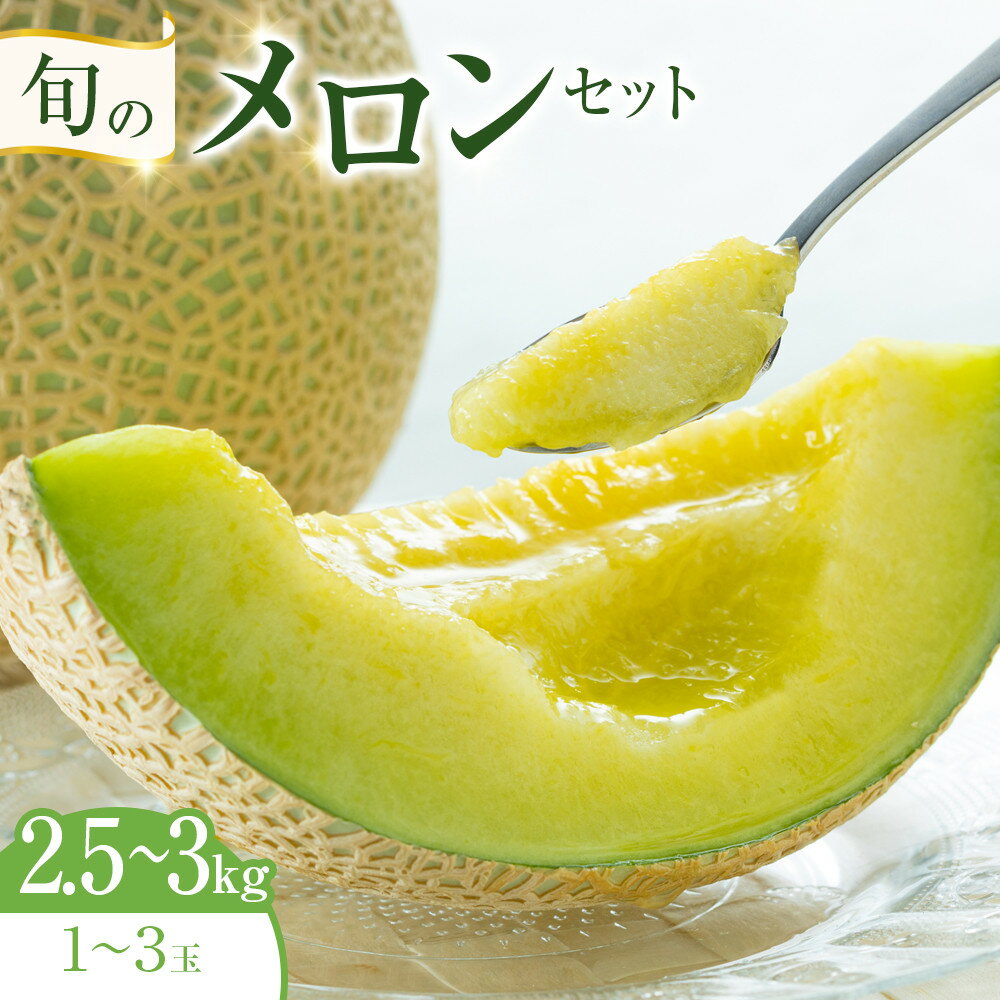 318.【先行予約】旬のメロンセット ※6月上旬～7月下旬頃に順次発送予定 | メロン 果物 フルーツ くだもの 鳥取県 北栄町 おすすめ 人気 送料無料