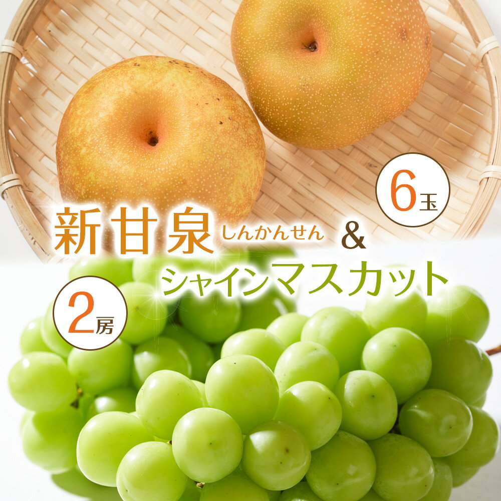 535.【先行予約】新甘泉6玉とシャインマスカット2房 ※8月下旬～9月中旬頃に順次発送予定 | 先行予約 シャインマスカット マスカット 葡萄 ぶどう 梨 なし 果物 フルーツ 鳥取県 北栄町 おすすめ 人気