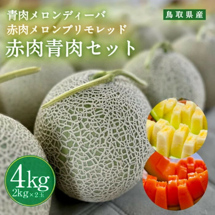 【先行予約】956.青肉メロンディーバと赤肉メロンプリモレッドのセット ※日本全国配送可能 2026年10月上旬頃～11月上旬頃に順次発送予定