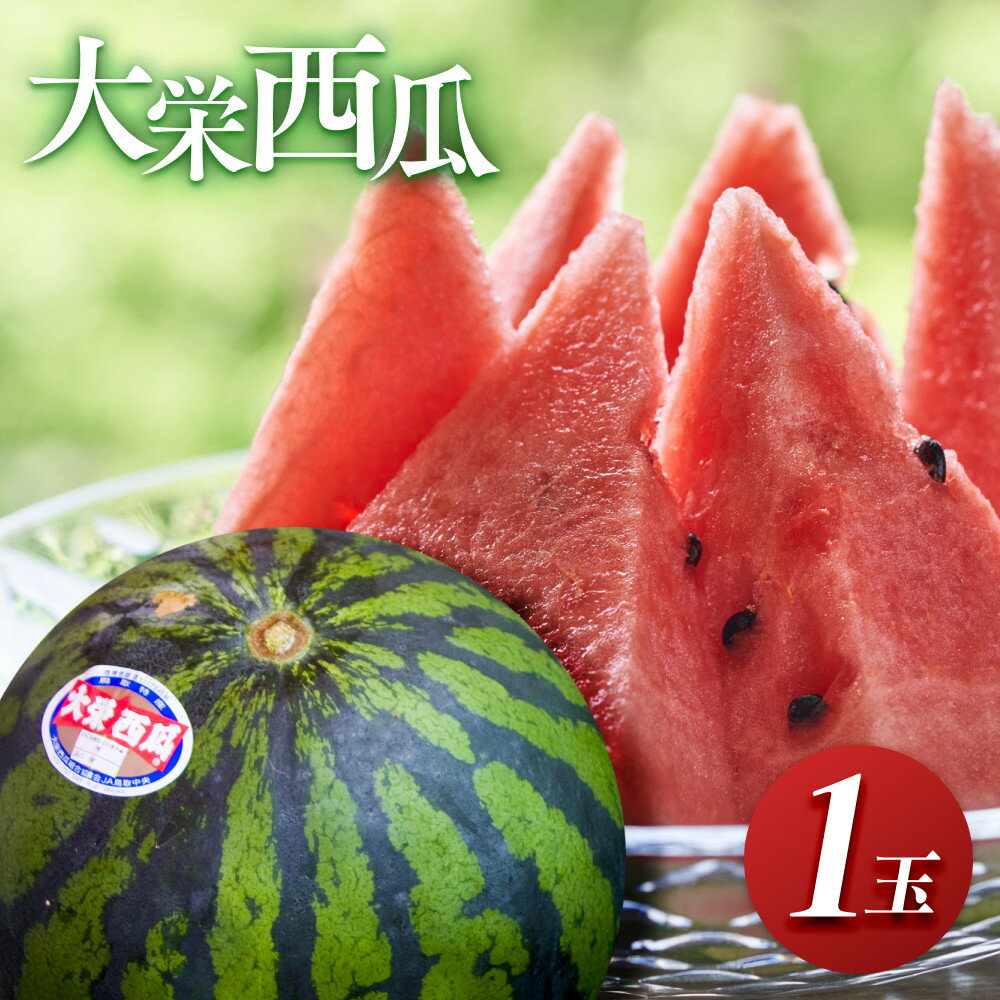 ＼2026年産先行予約／ 大栄西瓜 1玉 すいか ※2026年6月中旬～7月中旬頃に順次発送予定 | 西瓜 スイカ 果物 フルーツ くだもの 鳥取県 北栄町 おすすめ 人気 送料無料