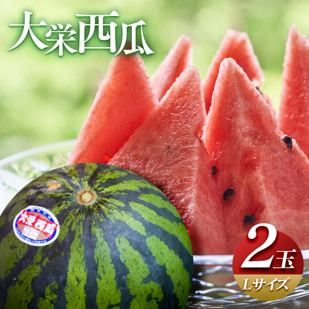 ＼2026年産先行予約／ 大栄西瓜 2玉 L サイズ すいか ※2026年6月中旬～7月中旬頃に順次発送予定 | 西瓜 スイカ 果物 フルーツ くだもの 鳥取県 北栄町 おすすめ 人気 送料無料