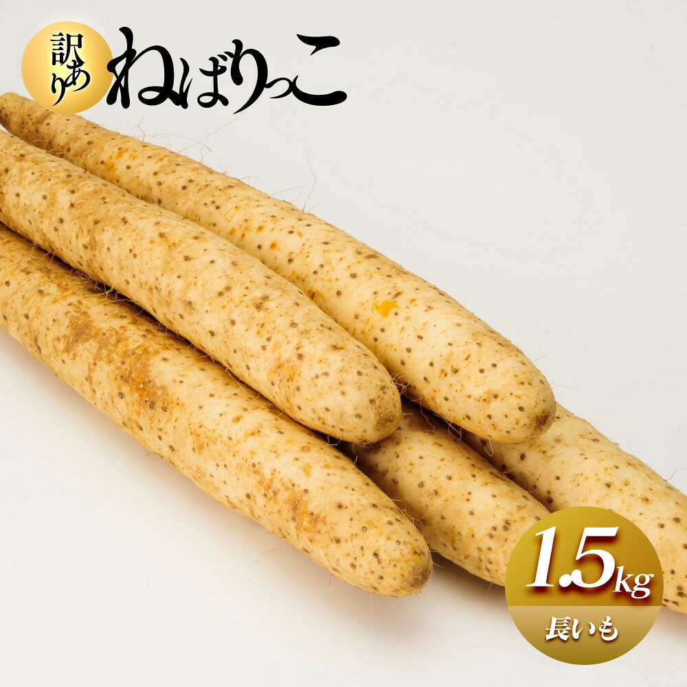942.≪先行受注≫【訳あり】ねばりっこ1.5kg 長芋 ながいも 鳥取県産 ※期間限定11月上旬から4月中旬頃に順次発送予定 | 先行予約 野菜 やさい 根菜 とろろ 長芋 芋 国産 いも 鳥取県 北栄町 おすすめ 人気 送料無料