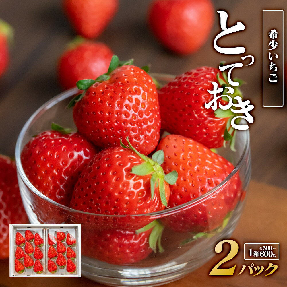 希少いちご『とっておき』 2パック×1箱 ※2026年1月中旬頃～2026年3月下旬頃に順次発送予定 | いちご 苺 フルーツ 果物 新鮮 甘い おすすめ 人気 プレミアム 鳥取県 北栄町