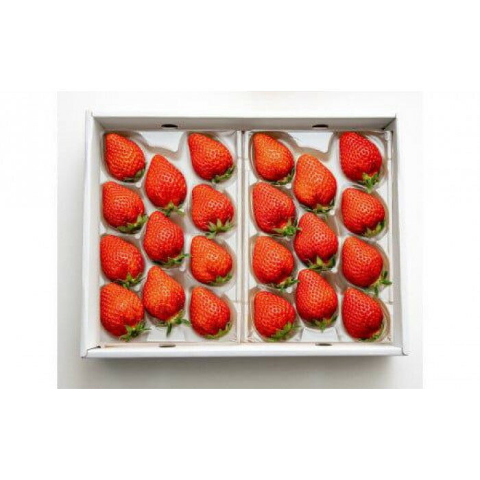 【ふるさと納税】希少いちご『とっておき』 2パック×1箱 ※2026年1月中旬頃～2026年3月下旬頃に順次発送予定 | いちご 苺 フルーツ 果物 新鮮 甘い おすすめ 人気 プレミアム 鳥取県 北栄町 サムネイル2