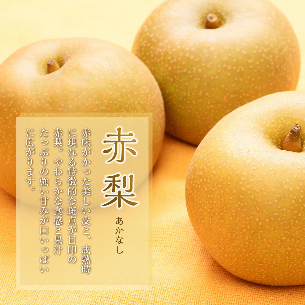 【ふるさと納税】旬の赤梨セット 4～5kg前後 ※2026年8月下旬～12月下旬頃に順次発送予定 | 先行予約 梨 なし 幸水 秋栄 豊水 新甘泉 しんかんせん 秋甘泉 新高 王秋 あたご梨 果物 フルーツ くだもの 栄養 効能 ビタミン 鳥取県 鳥取 北栄町 おすすめ 人気 送料無料 - 画像2