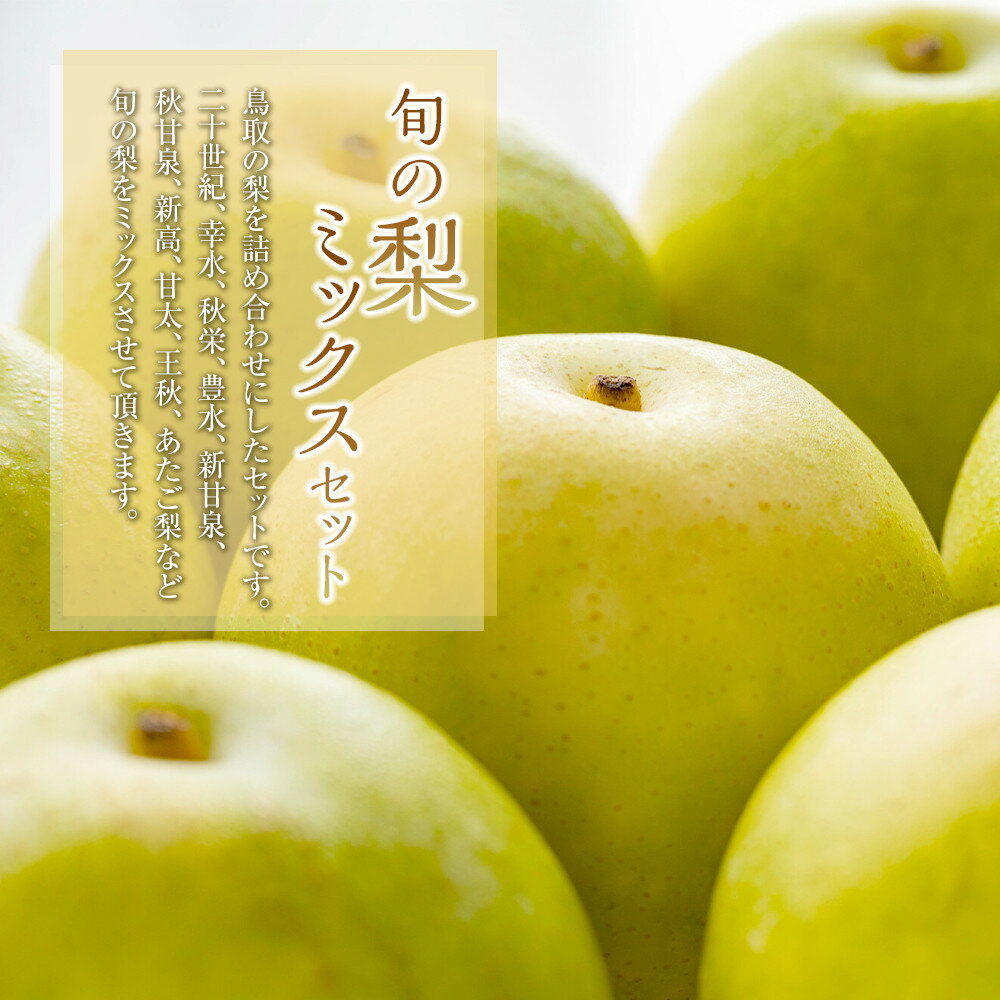 【ふるさと納税】【品種おまかせ】旬の梨ミックスセット 3kg ※～2026年12月下旬頃に順次発送予定 | 先行予約 梨 なし 二十世紀 幸水 秋栄 豊水 新甘泉 しんかんせん 秋甘泉 新高 甘太 王秋 あたご梨 果物 フルーツ くだもの ビタミン 鳥取県 鳥取 北栄町 おすすめ 人気 - 画像2
