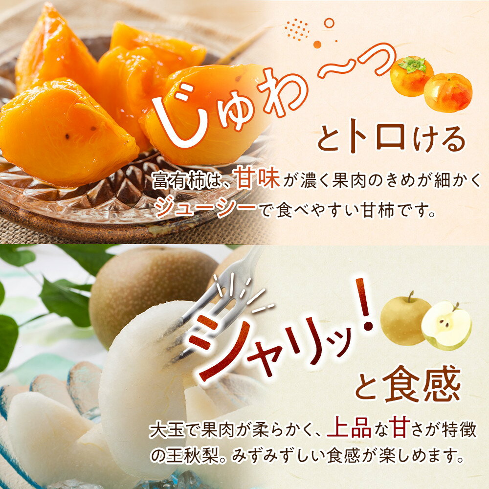 【ふるさと納税】【先行予約】＜選べる容量＞ 柿 梨 富有柿と王秋梨のセット 3kg ～ 5kg　※2026年11月上旬～12月上旬頃に順次発送予定 | 先行予約 梨 なし 柿 カキ フルーツ 産地直送 果物 秋のごちそう くだもの 鳥取県 北栄町 おすすめ 人気 送料無料 - 画像2