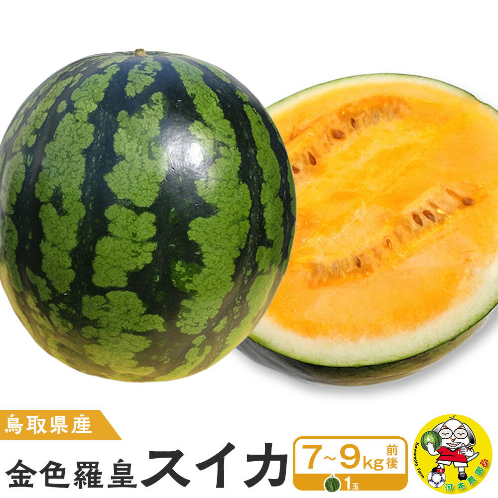 鳥取県産 金色羅皇スイカ 1玉 7-9キロ前後（こちらの返礼品は、大栄西瓜ではありません） | 金色羅皇西瓜 西瓜 スイカ 果物 フルーツ 鳥取県 北栄町 おすすめ 人気 新鮮 1玉 7kg ～ 9kg
