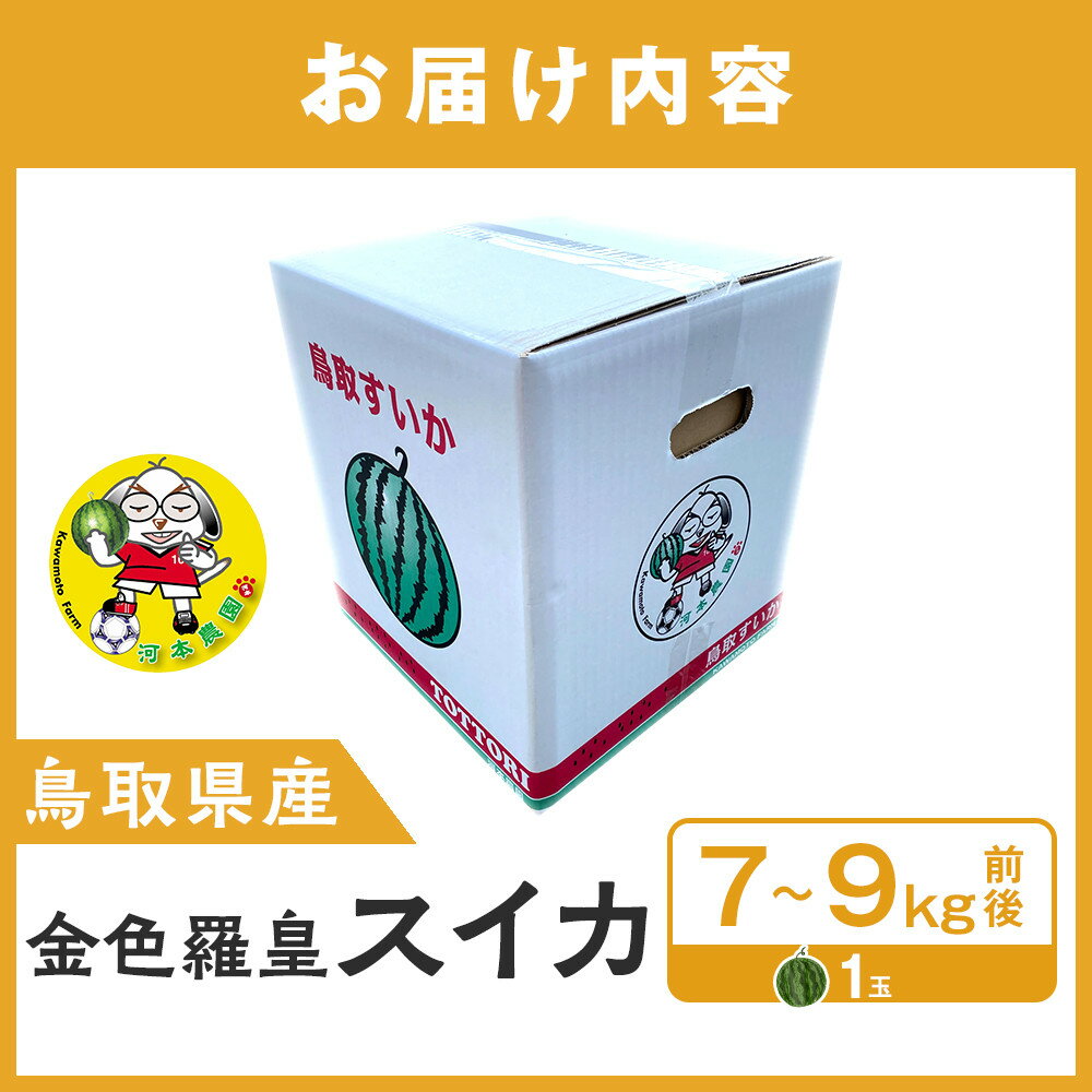 【ふるさと納税】鳥取県産 金色羅皇スイカ 1玉 7-9キロ前後（こちらの返礼品は、大栄西瓜ではありません） | 金色羅皇西瓜 西瓜 スイカ 果物 フルーツ 鳥取県 北栄町 おすすめ 人気 新鮮 1玉 7kg ～ 9kg サムネイル2