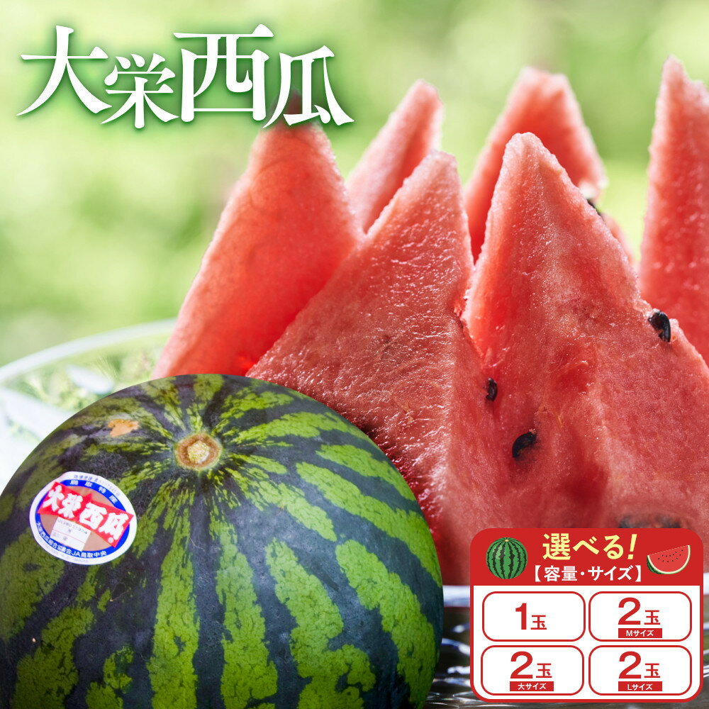 998.【選べる容量・サイズ】＼2026年産先行予約／ 大栄西瓜【1玉/2玉大/2玉M/2玉L】※2026年6月中旬～7月中旬頃に順次発送予定 | 西瓜 スイカ 果物 フルーツ くだもの 鳥取県 北栄町 おすすめ 人気 送料無料