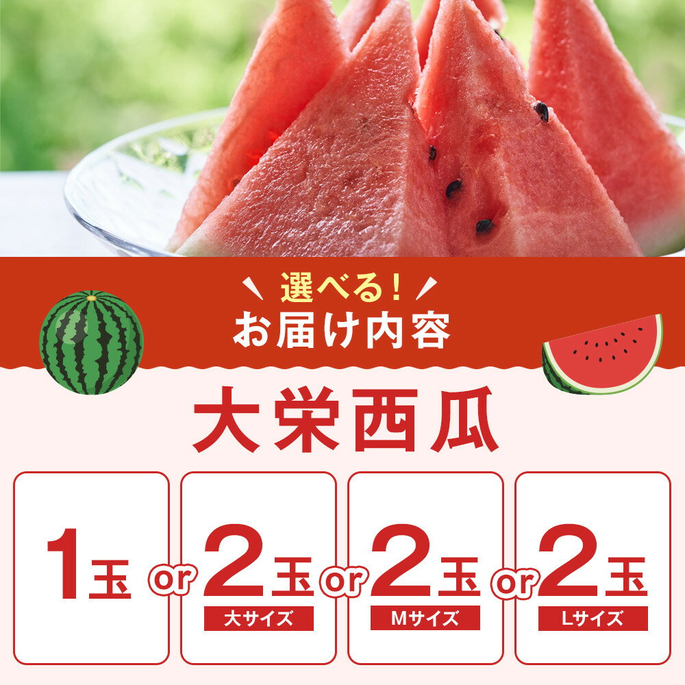 【ふるさと納税】998.【選べる容量・サイズ】＼2026年産先行予約／ 大栄西瓜【1玉/2玉大/2玉M/2玉L】※2026年6月中旬～7月中旬頃に順次発送予定 | 西瓜 スイカ 果物 フルーツ くだもの 鳥取県 北栄町 おすすめ 人気 送料無料 - 画像2