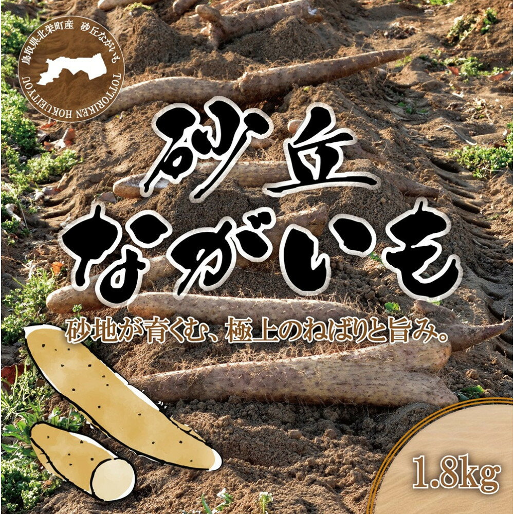 1113.砂丘ながいも1.8kg | 長芋 ながいも 野菜 新鮮 とろろ 鳥取県 北栄町 おすすめ 人気