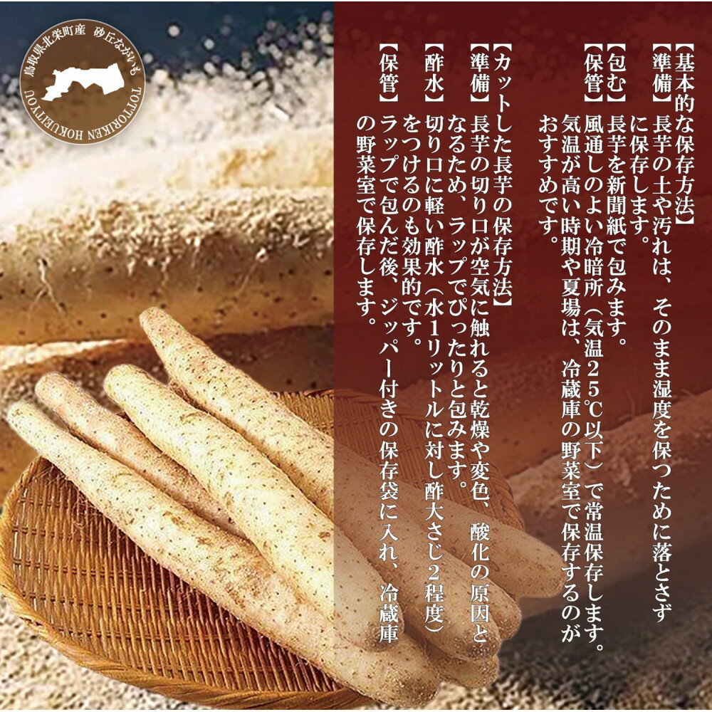 【ふるさと納税】1113.砂丘ながいも1.8kg | 長芋 ながいも 野菜 新鮮 とろろ 鳥取県 北栄町 おすすめ 人気 - 画像2