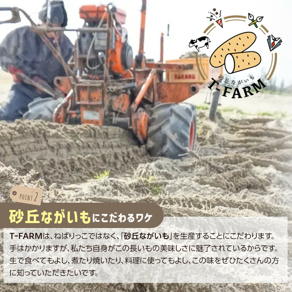 【ふるさと納税】【ご自宅用】鳥取特産品 砂丘ながいも（カット）3kg | 家庭用 長芋 芋 いも とろろ 鳥取県産 北栄町 新鮮 おすすめ 人気 鳥取県産 - 画像3