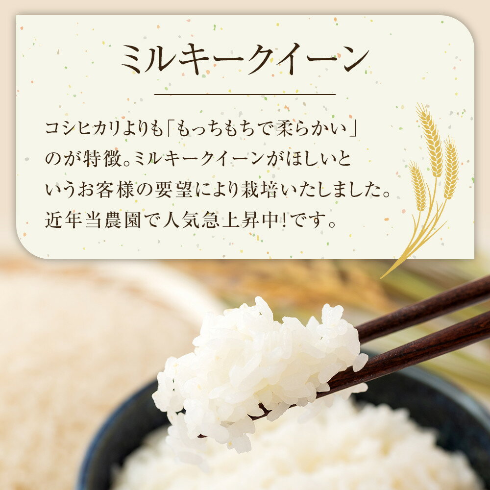 【ふるさと納税】【内容量が選べる】令和7年産 ミルキークイーン 精米 無洗米 8kg 9kg 10kg 日置さん家のお米 | 米 白米 ブランド米 鳥取県産 ごはん 白米 おにぎり 弁当 2025年産 みるきー くいーん こめ 鳥取 国産 - 画像2