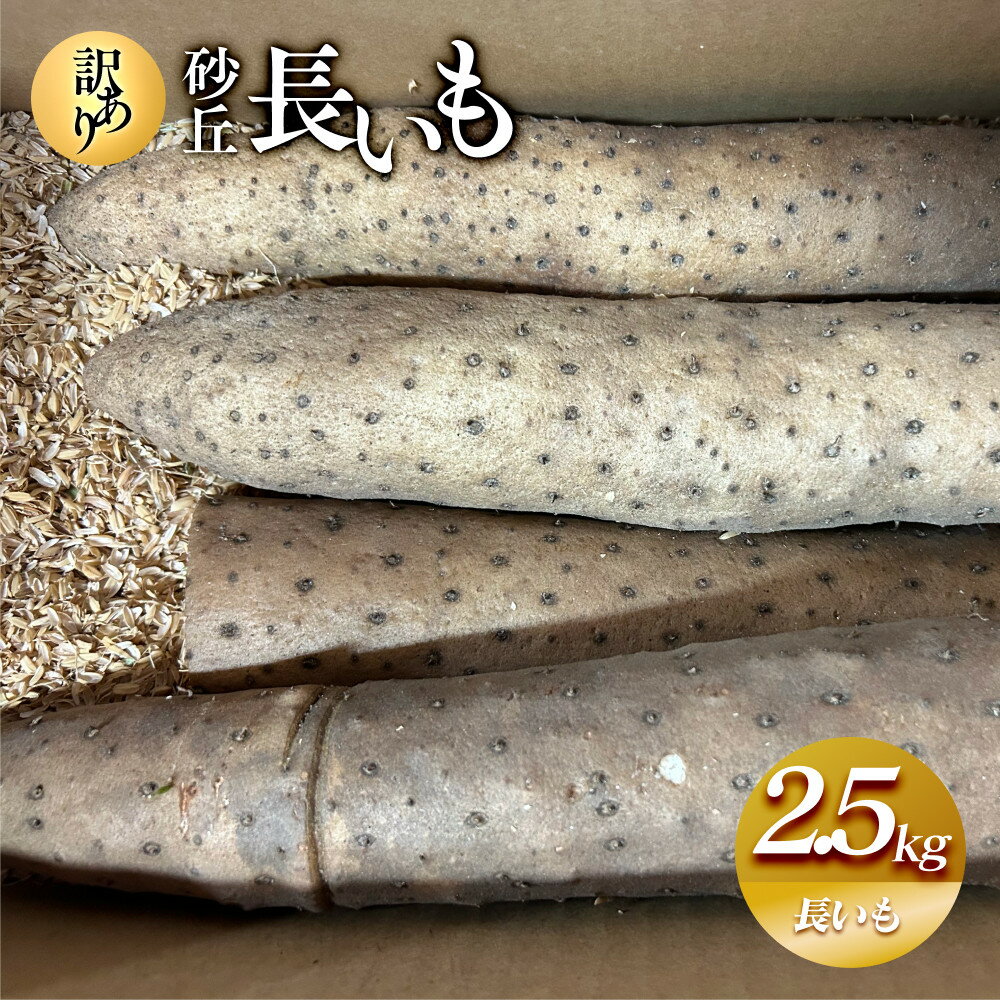 943.【訳あり】砂丘長いも2.5kg 長芋 ながいも 鳥取県産 ※11月上旬頃～5月下旬頃に順次発送予定 | 野菜 やさい 根菜 とろろ 長芋 芋 いも 鳥取県 北栄町 おすすめ 人気 送料無料