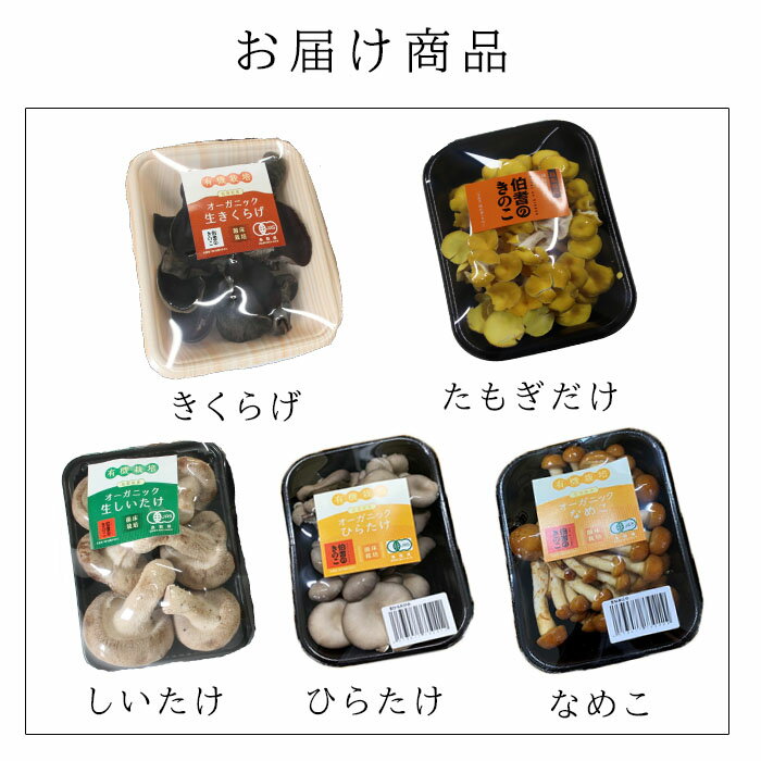 【ふるさと納税】【3回定期便】オーガニックきのこ 5種 定期便　TH01 - 画像2