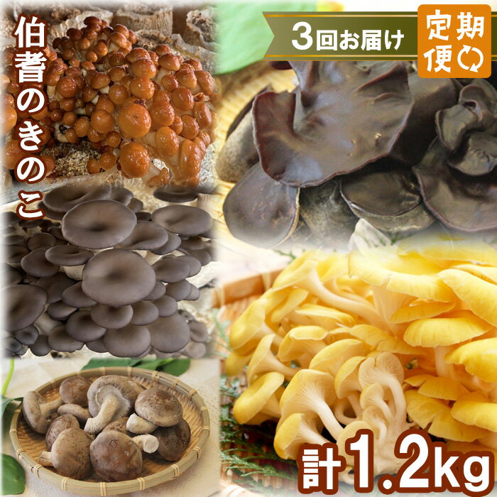 【3回定期便】オーガニックきのこ 5種 定期便　TH01